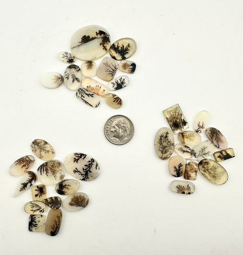 dendritic agate lots