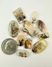 dendritic agate lots