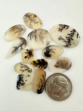 dendritic agate lots