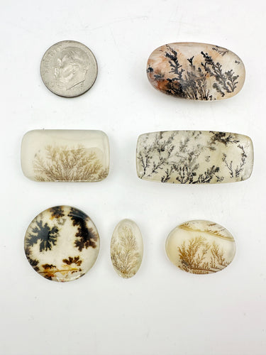 dendritic agate lot