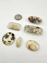 dendritic agate lot