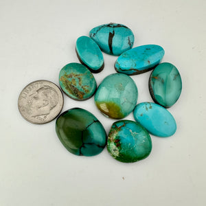 Turquoise Lots (3)