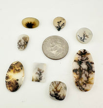 dendritic agate lot