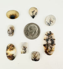 dendritic agate lot