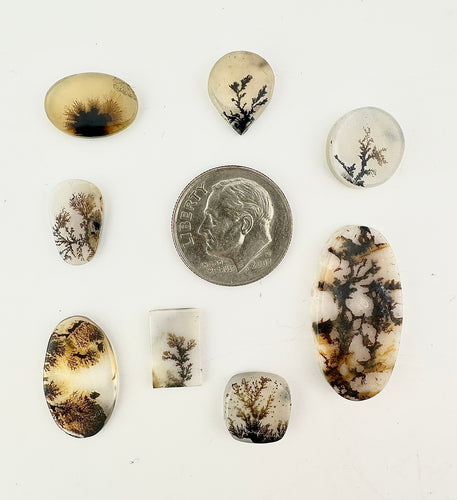 dendritic agate lot